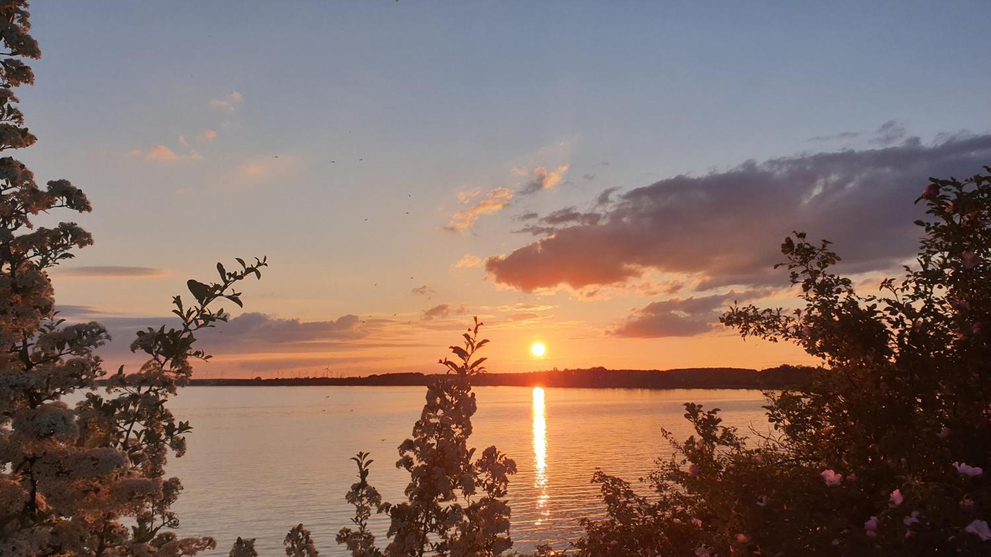 Seensucht & Urlaubstraeume, Ferienwohnung "Strand-Romantik" Senftenberg Esterno foto