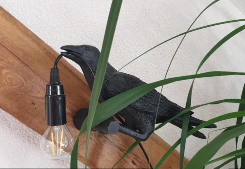 Seensucht & Urlaubstraeume, Ferienwohnung "Strand-Romantik" Senftenberg Esterno foto
